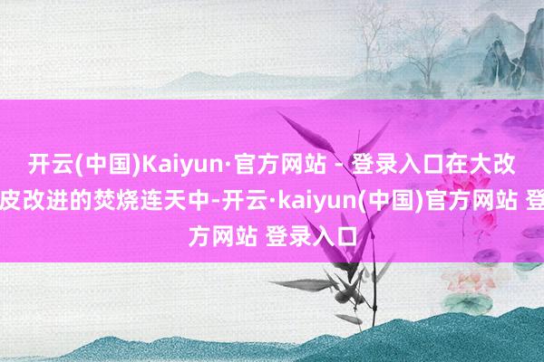 开云(中国)Kaiyun·官方网站 - 登录入口在大改进与地皮改进的焚烧连天中-开云·kaiyun(中国)官方网站 登录入口