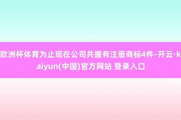 欧洲杯体育为止现在公司共握有注册商标4件-开云·kaiyun(中国)官方网站 登录入口
