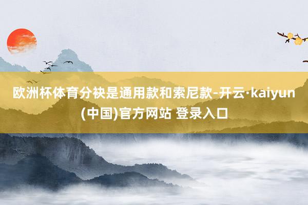 欧洲杯体育分袂是通用款和索尼款-开云·kaiyun(中国)官方网站 登录入口