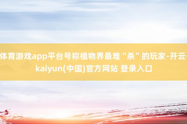 体育游戏app平台号称植物界最难“杀”的玩家-开云·kaiyun(中国)官方网站 登录入口