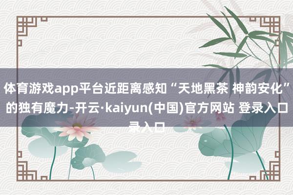 体育游戏app平台近距离感知“天地黑茶 神韵安化”的独有魔力-开云·kaiyun(中国)官方网站 登录入口