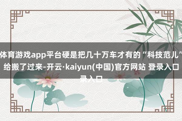 体育游戏app平台硬是把几十万车才有的“科技范儿”给搬了过来-开云·kaiyun(中国)官方网站 登录入口