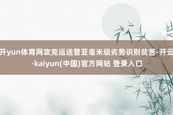 开yun体育网攻克运送管亚毫米级劣势识别贫苦-开云·kaiyun(中国)官方网站 登录入口