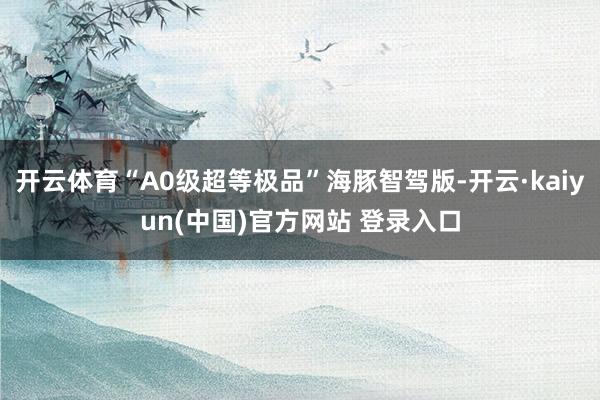 开云体育“A0级超等极品”海豚智驾版-开云·kaiyun(中国)官方网站 登录入口