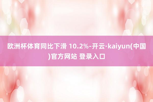 欧洲杯体育同比下滑 10.2%-开云·kaiyun(中国)官方网站 登录入口