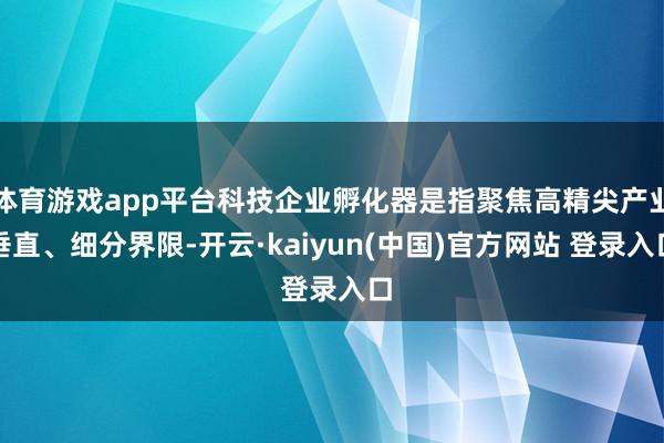 体育游戏app平台科技企业孵化器是指聚焦高精尖产业垂直、细分界限-开云·kaiyun(中国)官方网站 登录入口