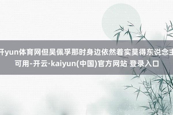 开yun体育网但吴佩孚那时身边依然着实莫得东说念主可用-开云·kaiyun(中国)官方网站 登录入口