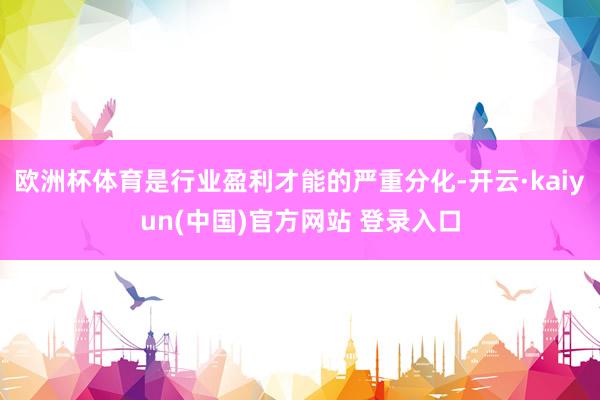 欧洲杯体育是行业盈利才能的严重分化-开云·kaiyun(中国)官方网站 登录入口