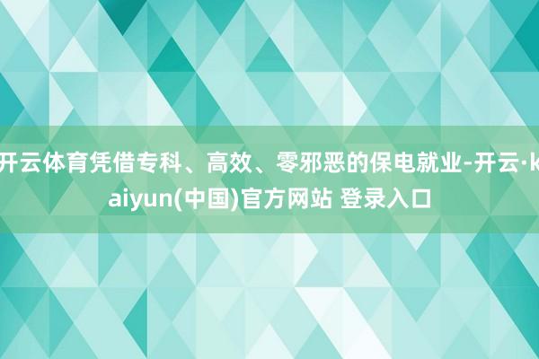 开云体育凭借专科、高效、零邪恶的保电就业-开云·kaiyun(中国)官方网站 登录入口