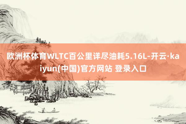 欧洲杯体育WLTC百公里详尽油耗5.16L-开云·kaiyun(中国)官方网站 登录入口