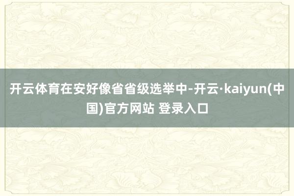 开云体育在安好像省省级选举中-开云·kaiyun(中国)官方网站 登录入口