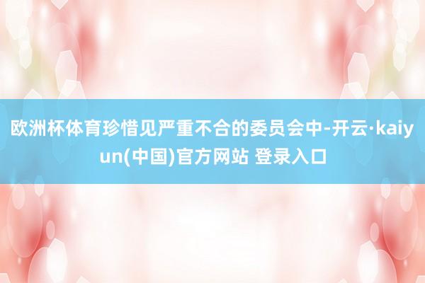 欧洲杯体育珍惜见严重不合的委员会中-开云·kaiyun(中国)官方网站 登录入口